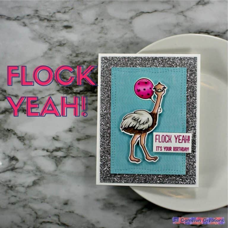 WPlus9 Flock Yeah Birthday Card